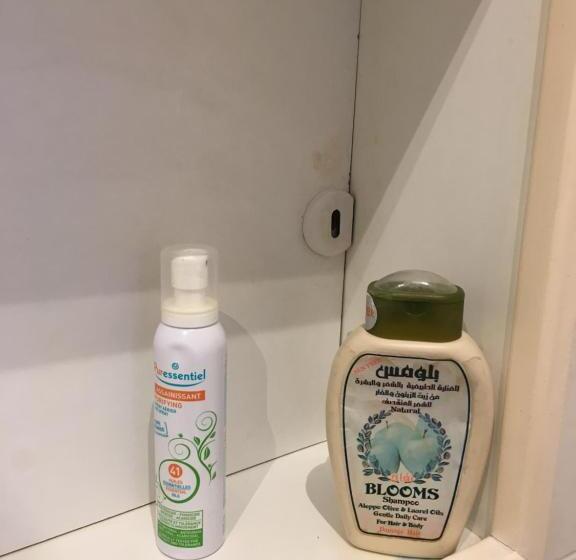 Bed and Breakfast Coeur De Village