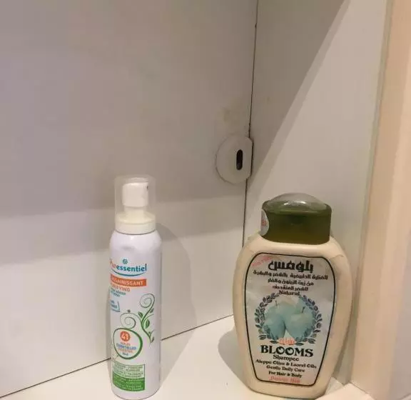 ベッドアンドブレックファースト Coeur De Village