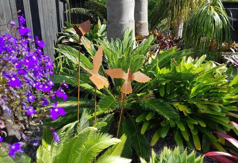 住宿加早餐 Papamoa Retreat