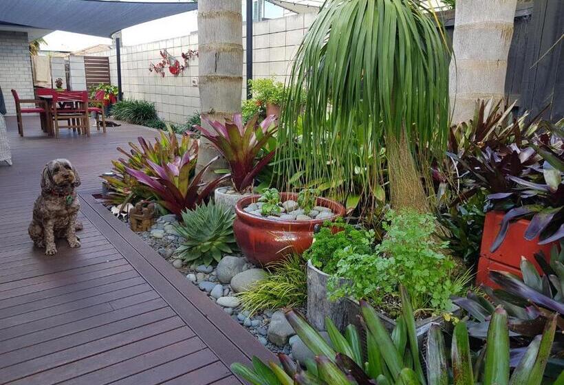 住宿加早餐 Papamoa Retreat