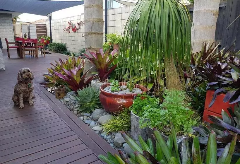 تختخواب و صبحانه Papamoa Retreat