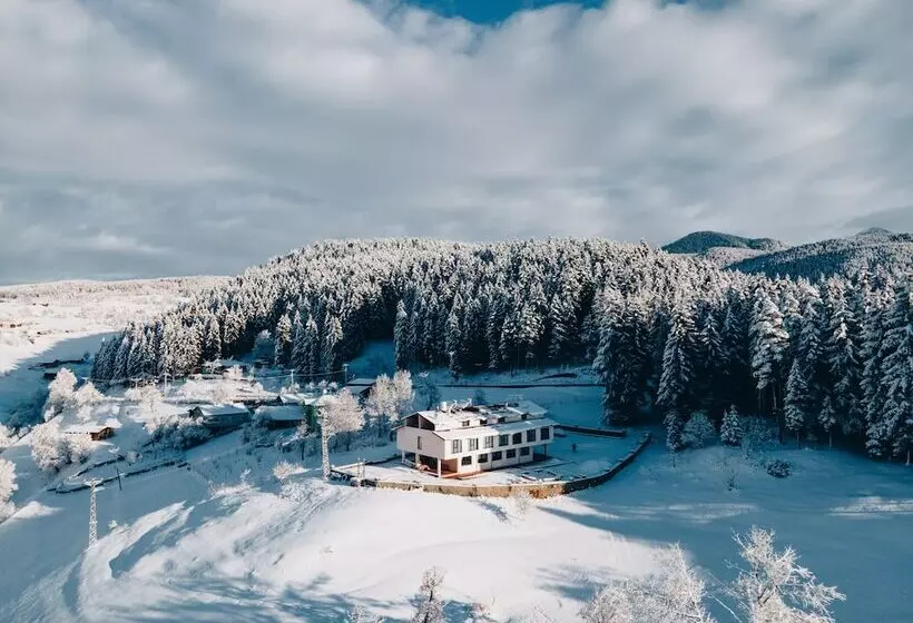 Aamiaismajoitus (B&B) Tuğra Butik Otel