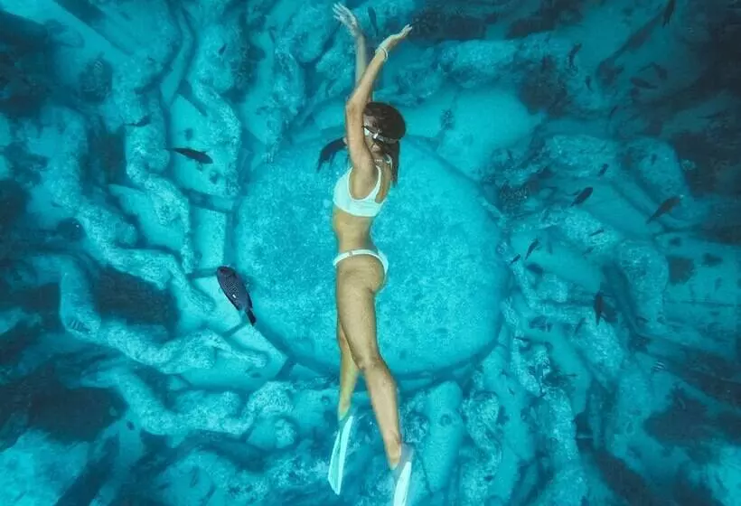 ベッドアンドブレックファースト Villa Tokay   Luxury Private Villas