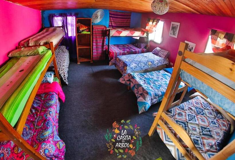 Casita Del Arbol Hostel