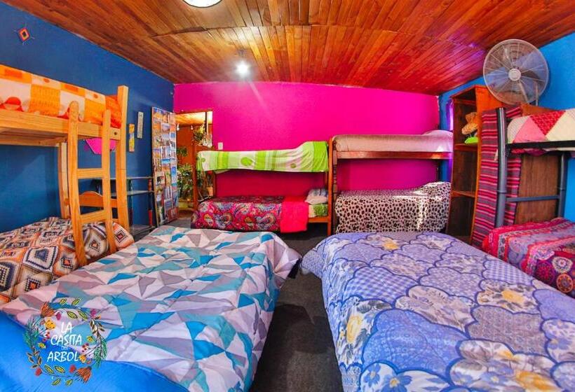 Casita Del Arbol Hostel