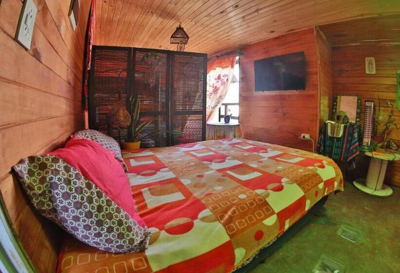 Casita Del Arbol Hostel