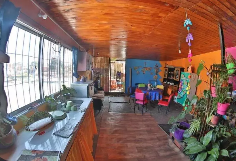 Casita Del Arbol Hostel