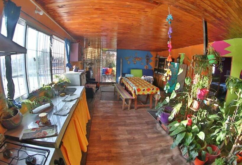 Casita Del Arbol Hostel
