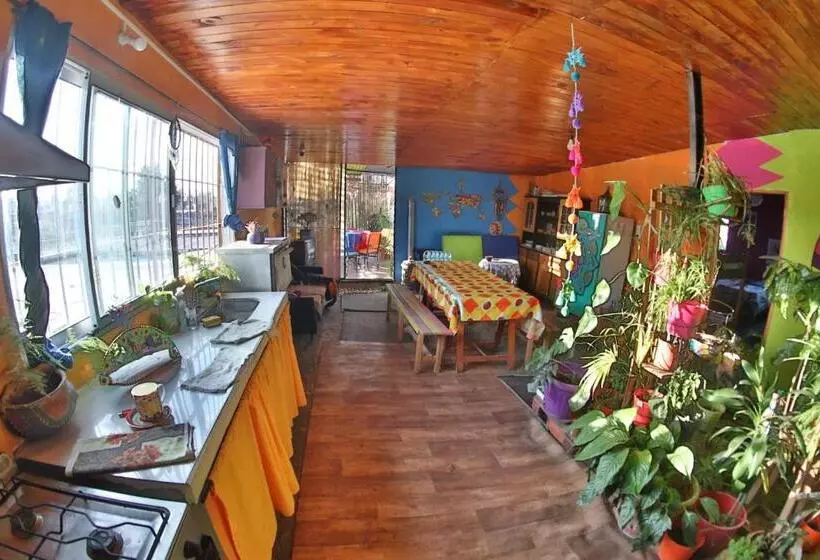 Casita Del Arbol Hostel