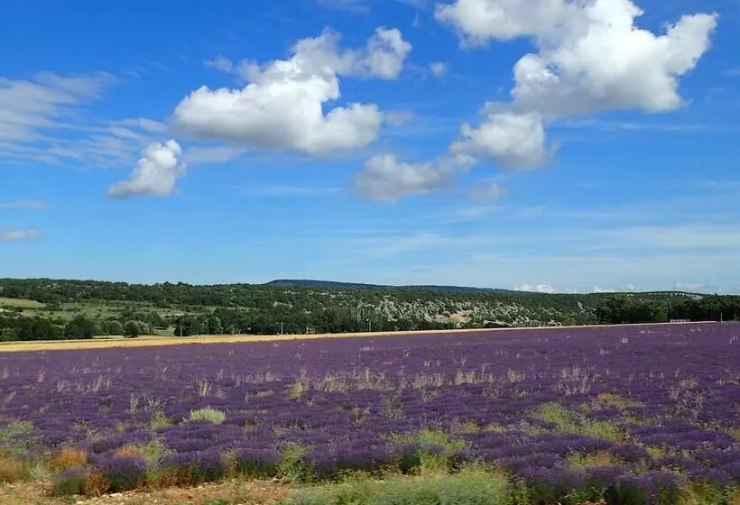 Hostelli Gîte De L Aspa