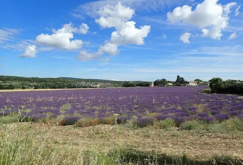 Hostelli Gîte De L Aspa