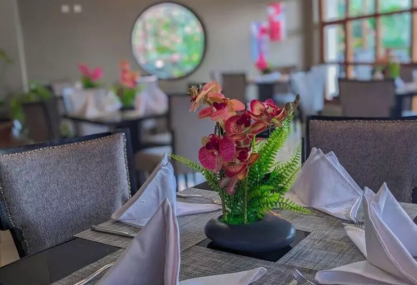 هتل Kivu Hilltop View Resort