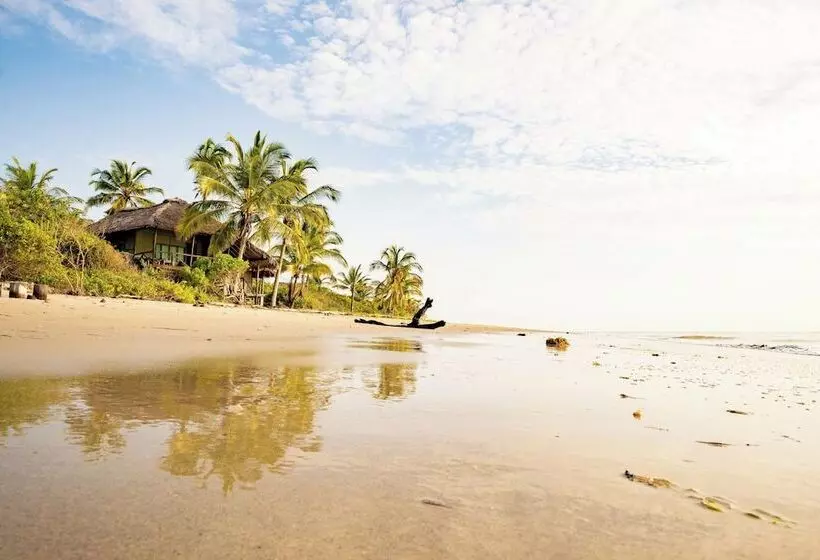 ホテル Simply Saadani Camp, A Tent With A View Safaris