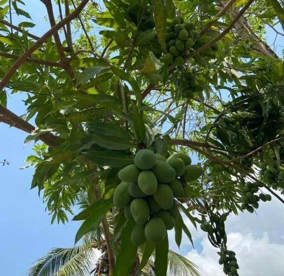 ペンション Casafinca Turbaco En Mompox Con Parqueadero