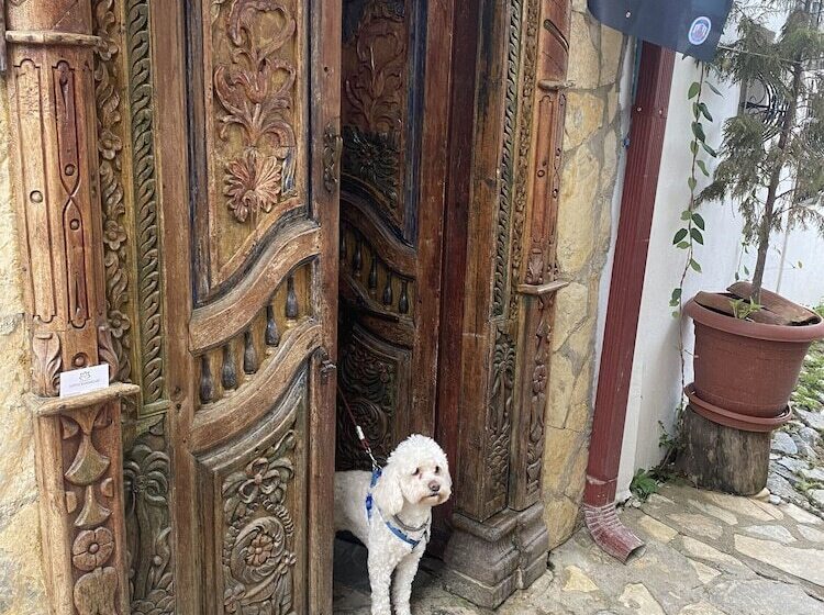 펜션 şirince Lotus Konakları