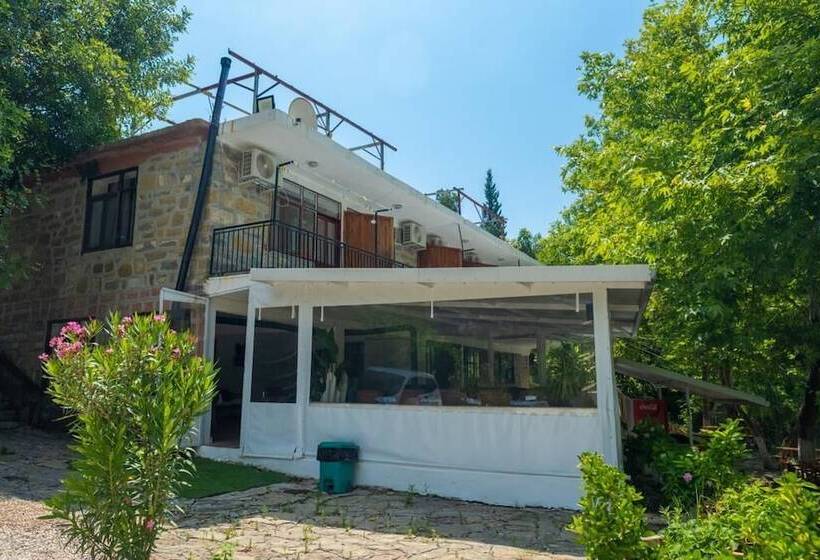 پانسیون Ozgur Family House