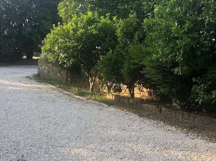 پانسیون Ozgur Family House