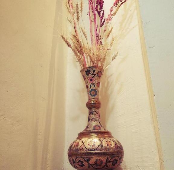 بنسيون Shree Ji Guest House