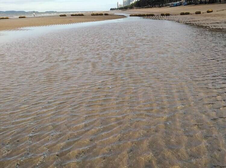 Pansiyon Sorot House