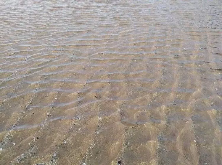 Majatalo Sorot House