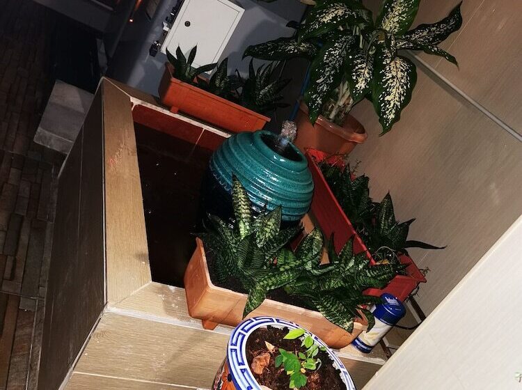 Pansiyon Sorot House