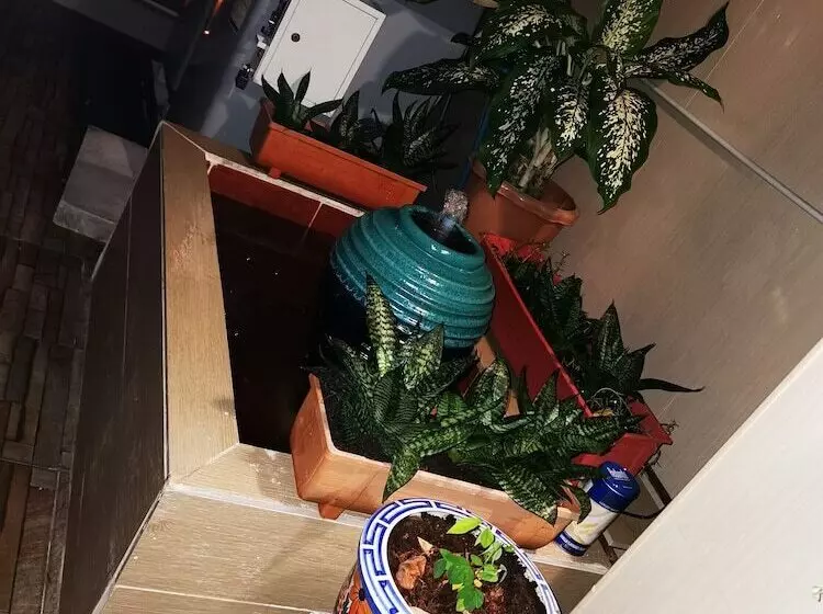 Majatalo Sorot House