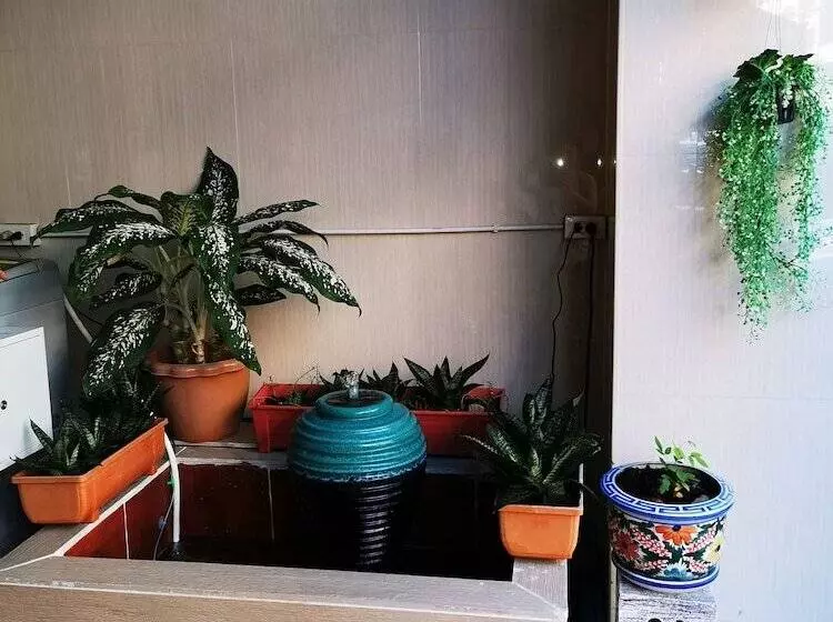 Majatalo Sorot House