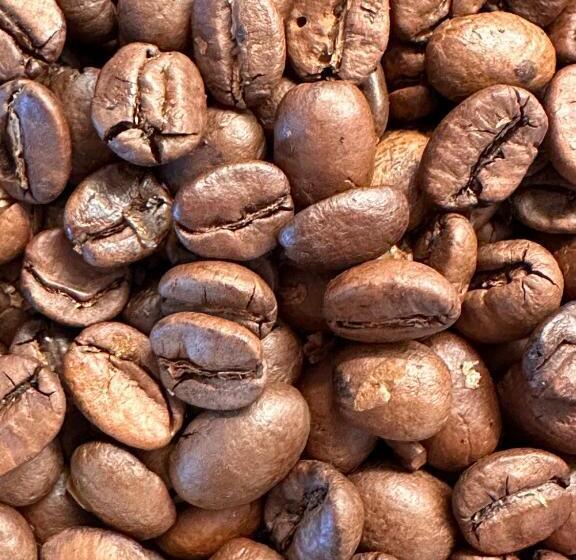 هاستل Papá Totë Deluxe