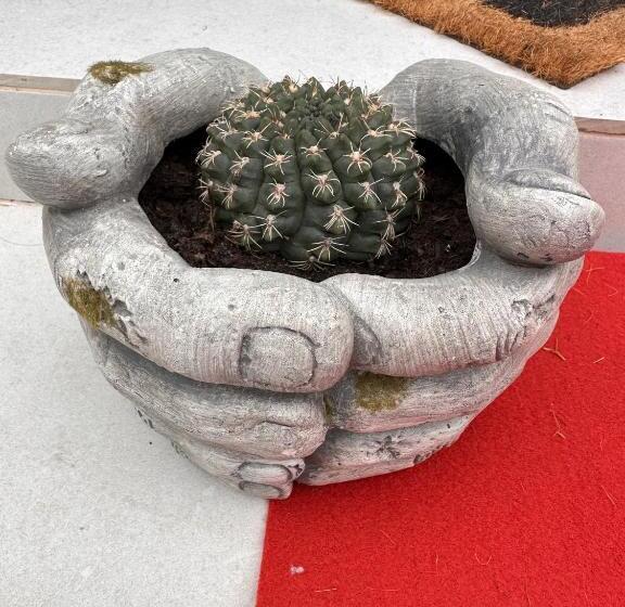 هاستل Papá Totë Deluxe