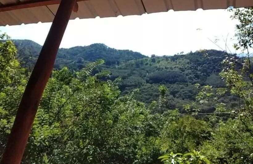 ベッドアンドブレックファースト Aybish Resort