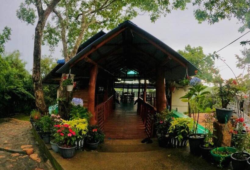 민박 Aybish Resort