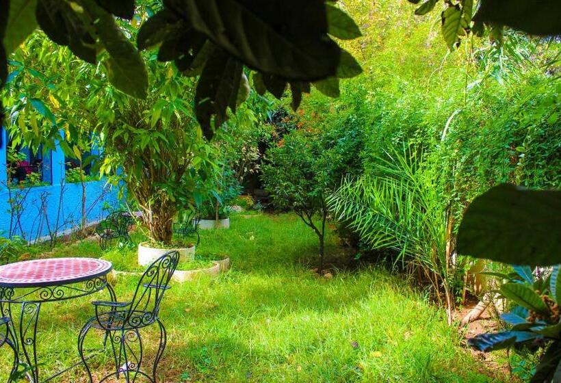 پانسیون Hôtel Maison Karaz