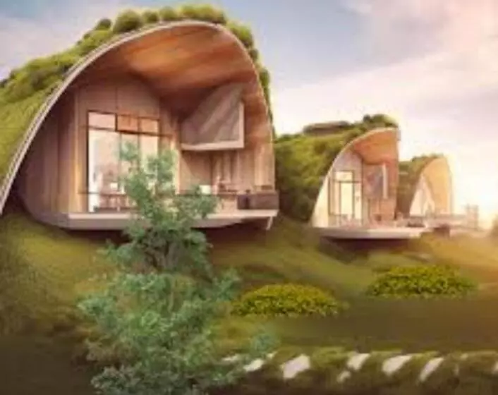 Majatalo Junglee Stay