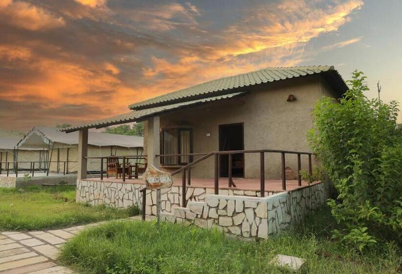 אתר נופש Naaharbagh Rajgarh