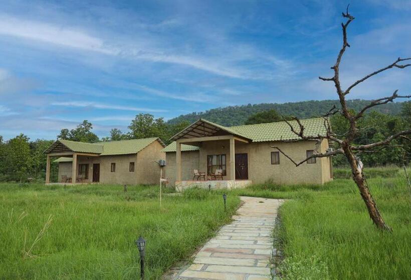 אתר נופש Naaharbagh Rajgarh