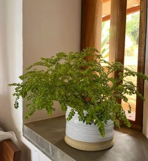 Aamiaismajoitus (B&B) Casa Vero