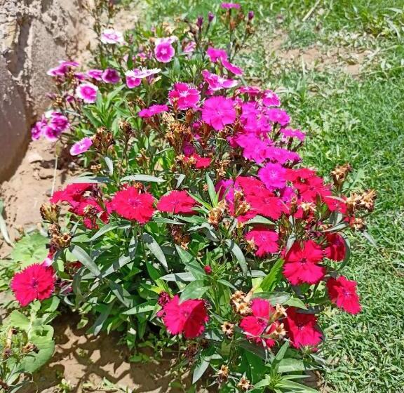 膳宿费 Ayra Home Stay