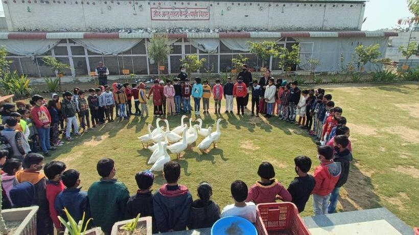 펜션 Narayan Guest House