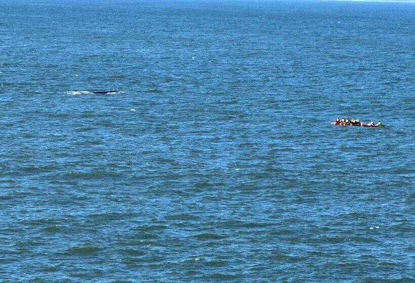 بنسيون Tranquil Private Rooms Hermanus