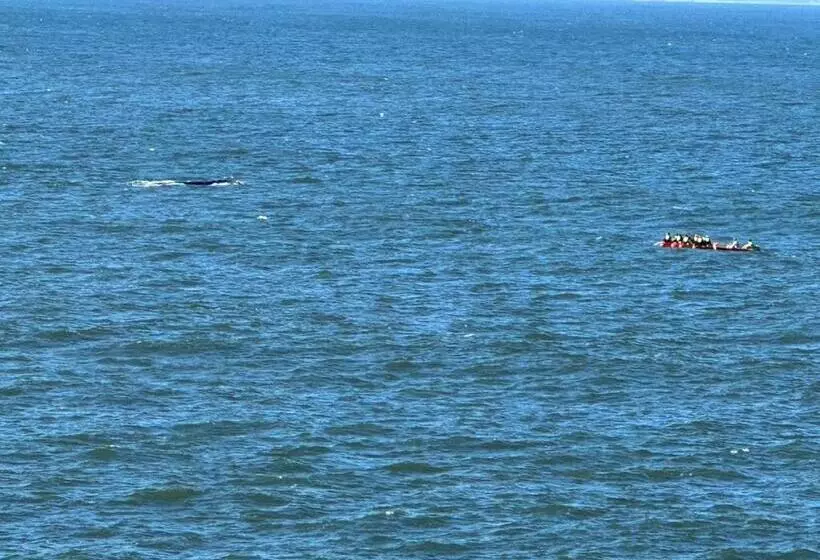 Majatalo Tranquil Private Rooms Hermanus