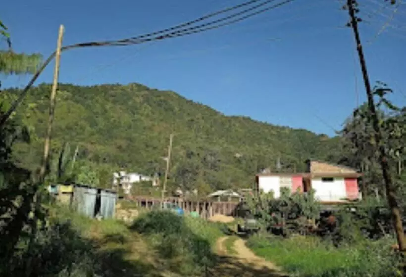 Majatalo Vicha Paying Guest Nagaland