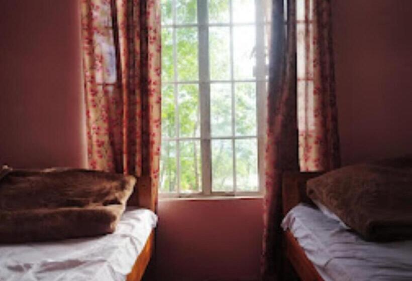 פנסיון Vicha Paying Guest Nagaland