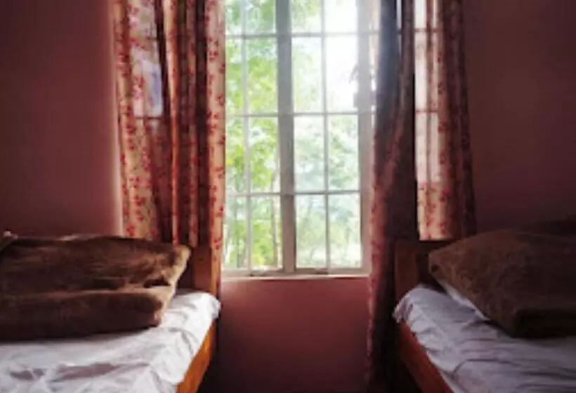 Majatalo Vicha Paying Guest Nagaland