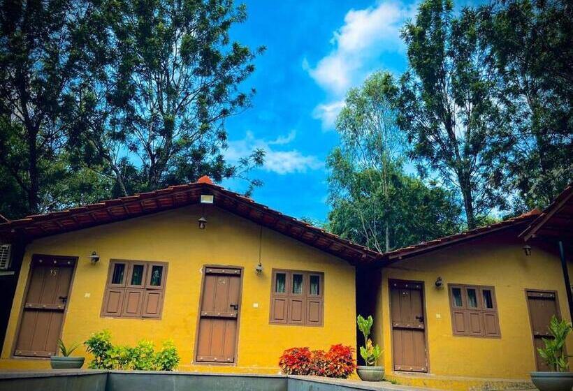 אתר נופש Hlc Ayurveda And Nature Cure