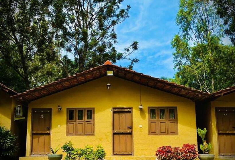 אתר נופש Hlc Ayurveda And Nature Cure