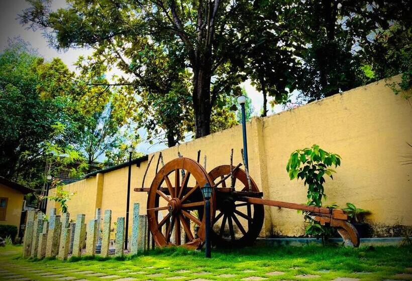 אתר נופש Hlc Ayurveda And Nature Cure