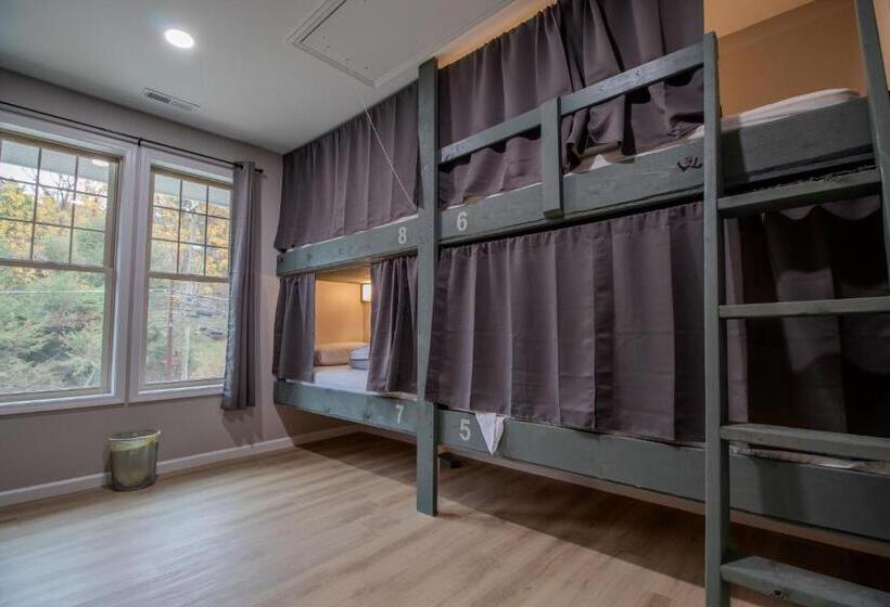 The Lazy Tiger Hostel