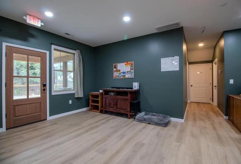 The Lazy Tiger Hostel