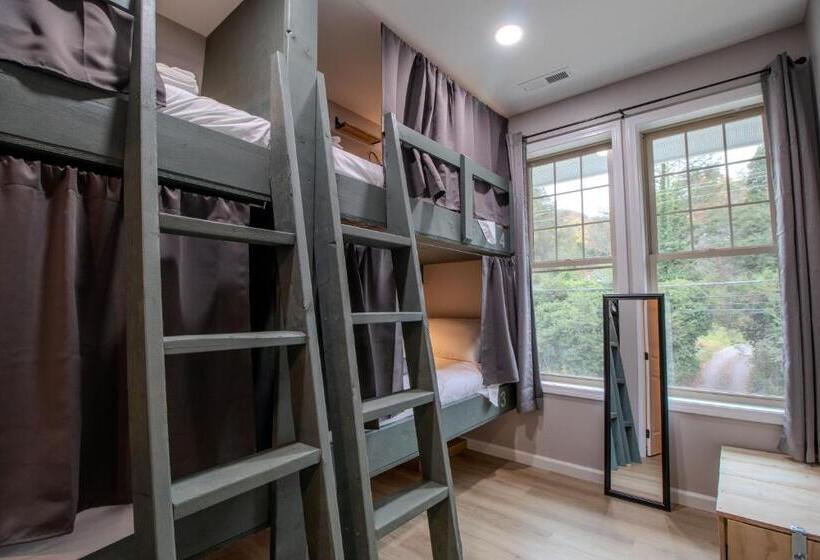 The Lazy Tiger Hostel