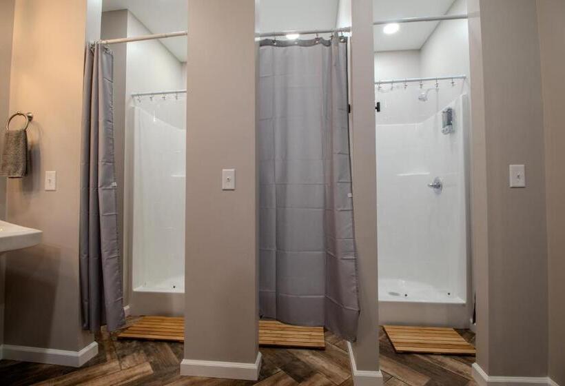 The Lazy Tiger Hostel